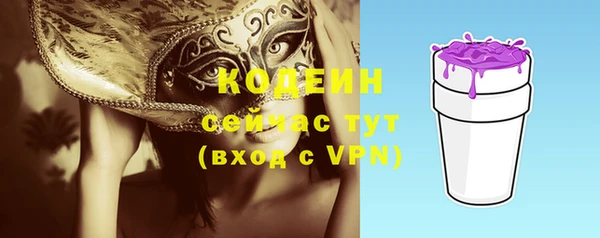 мет Бородино