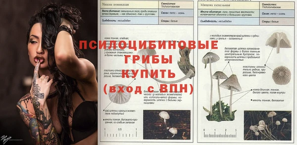 мет Бородино